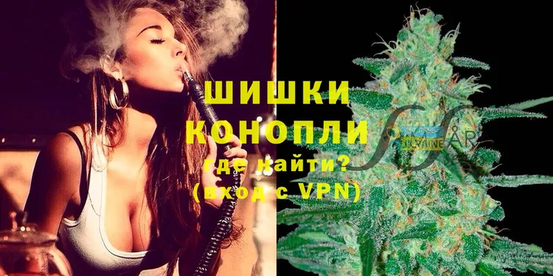 Конопля OG Kush  Приволжск 